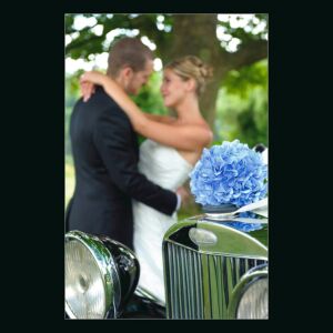Wedding Photography MPA Licentiate Qualifying Panel from 2011