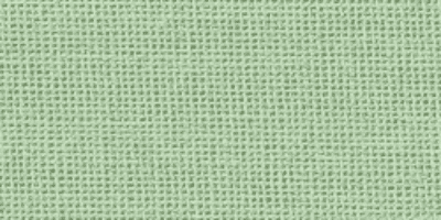 a49 - Mint Green Plain