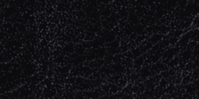 c5 - Raven Black Vintage