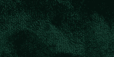 v7 - Emerald Green Velvet