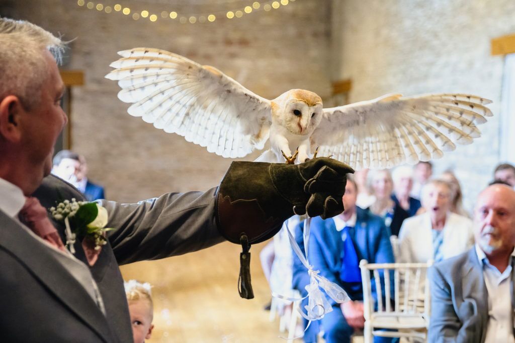Owl flying down aisle with rings wedding photography Bristol