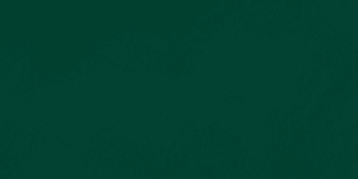 j52-Green Forest