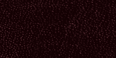 c10 - Dark Brown Vintage