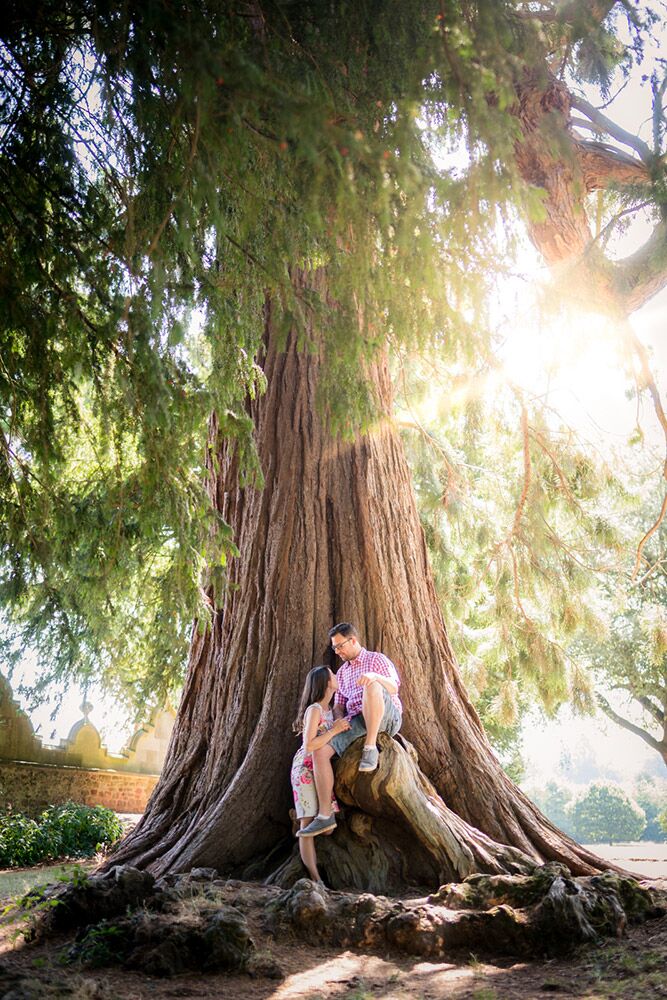 Engagement Photography Pre-Wedding Shoot at Ashton Court Bristol