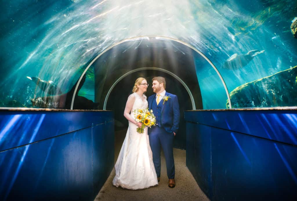 Bristol Zoo Wedding Photography