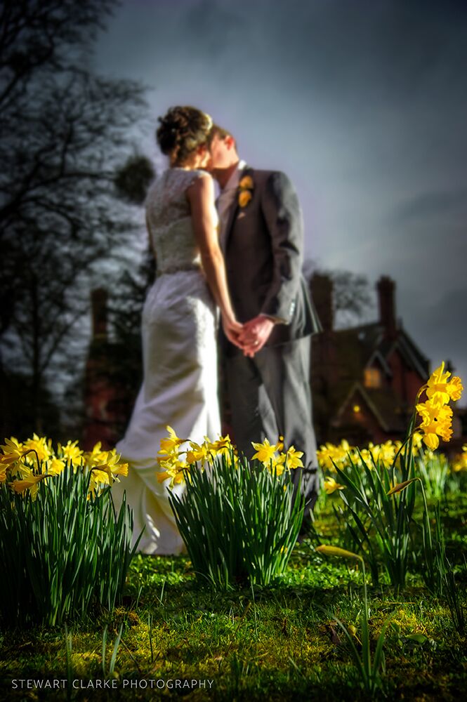 wedding_photography_berwick-lodge_ daffodils Wedding Photographer Bristol, bride and groom daffodils at Berwick Lodge