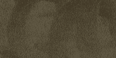 v8 - Taupe Brown Velvet