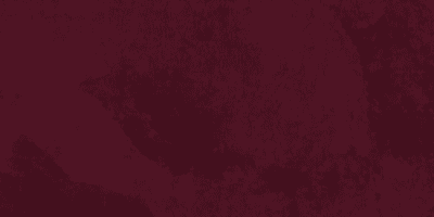 v21 Burgundy Red Velvet